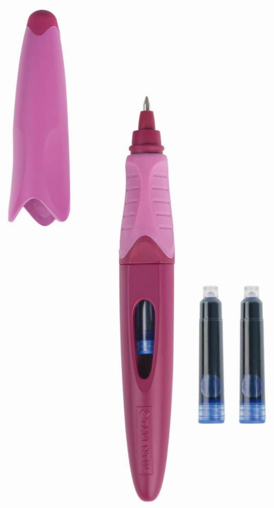 Fountain Pen Set
