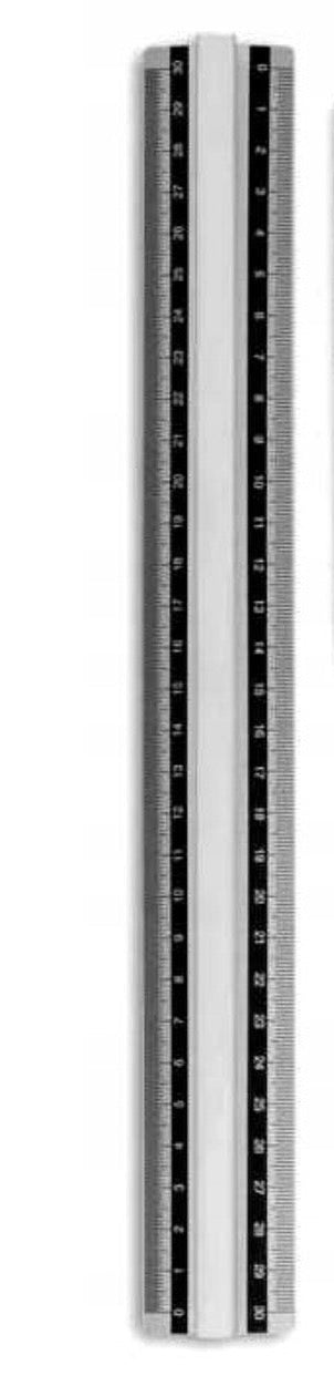 Crepando 30cm Ruler